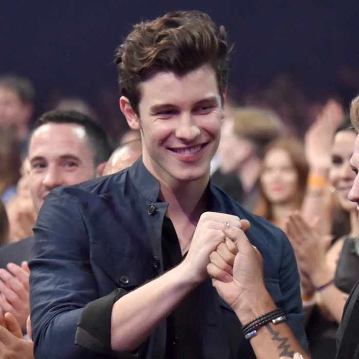 Demi Lovato Shawn Mendes And More 2019 Grammy Nominees React E Online